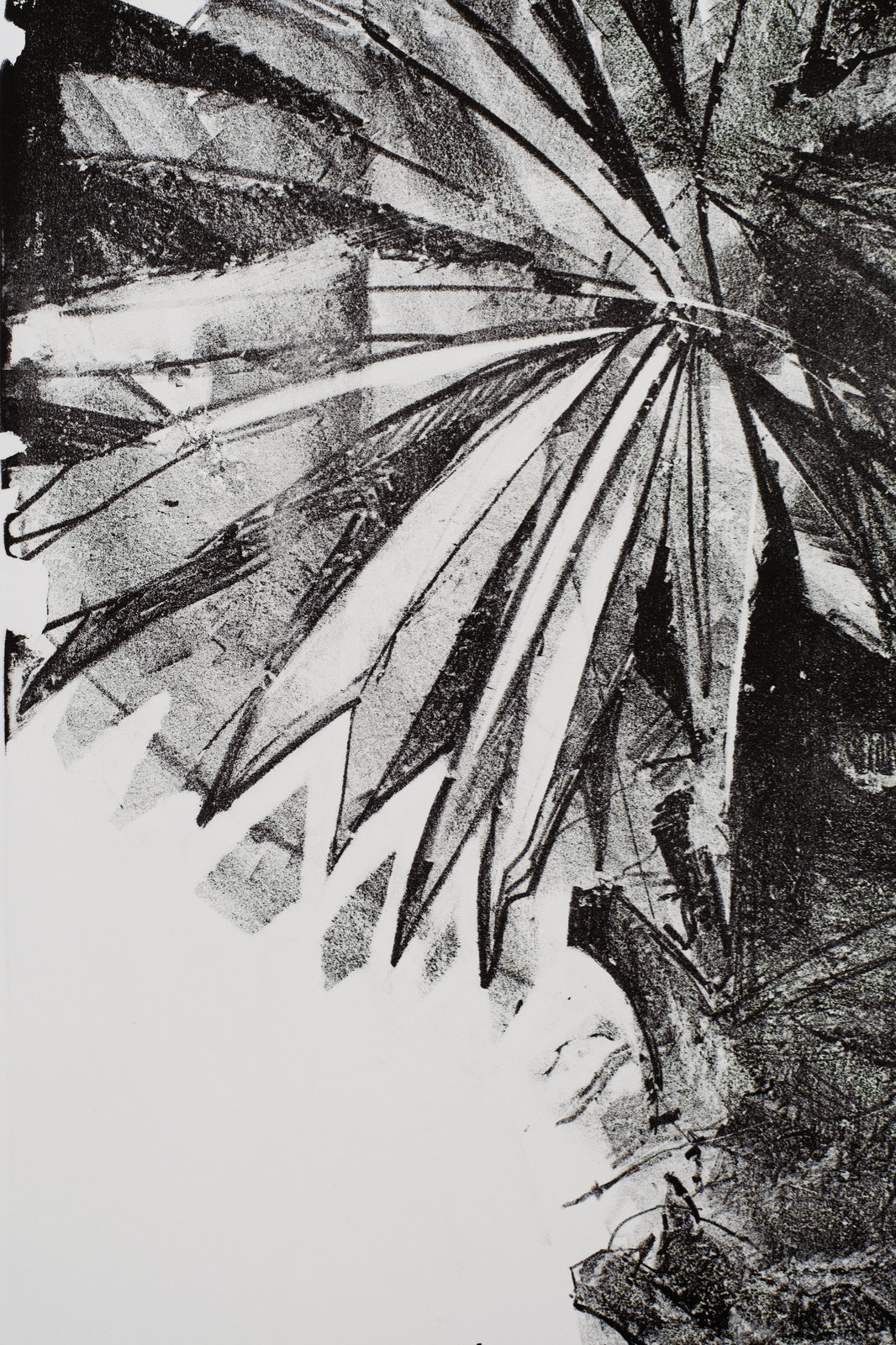 NG_detail1_siteRes