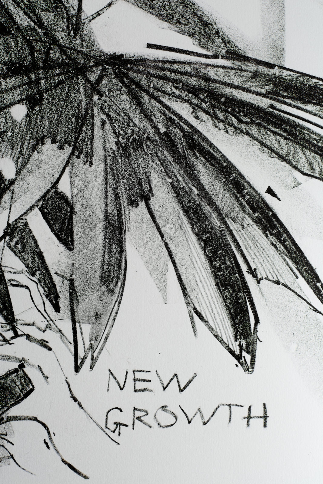 NG_detail2_siteRes