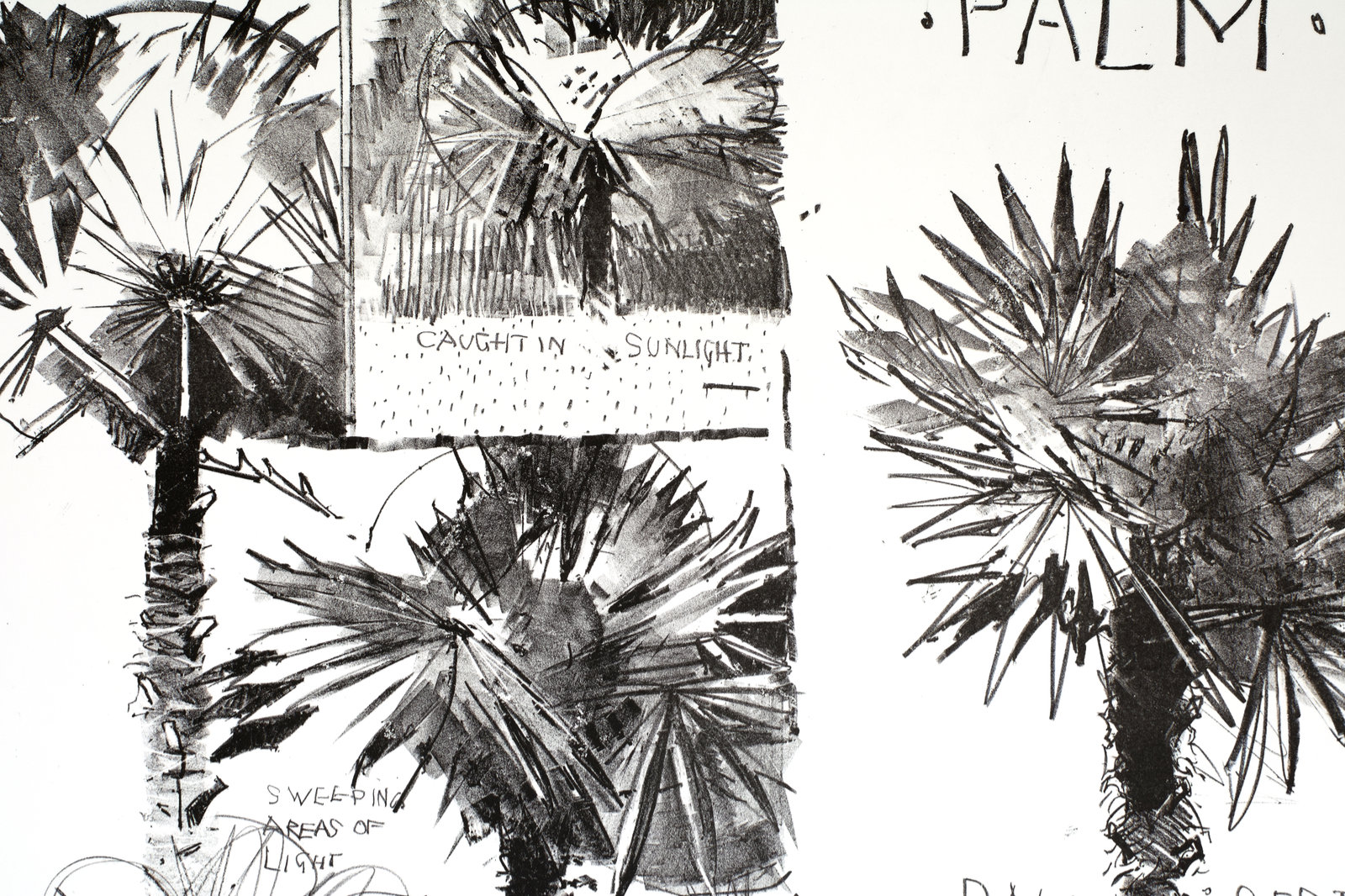 PS_detail1_siteRes