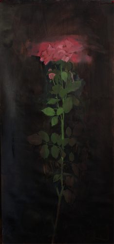 Rose Bloom #3