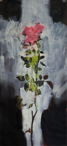Rose Bloom #4