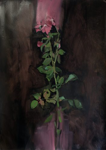 Rose Bloom #5