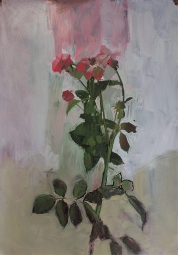 Rose Bloom #6