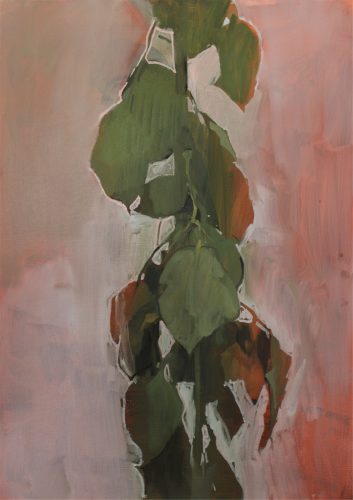 Cynorhodon Painting #4